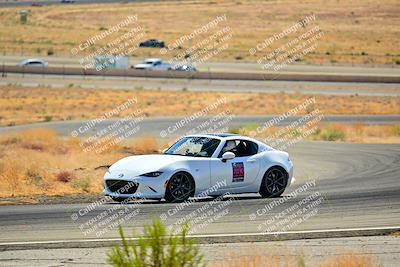 media/Oct-05-2024-Extreme Speed (Sat) [[dcd4a721fe]]/Low Inter/Session 2 (Turns 4 5 and 6)/